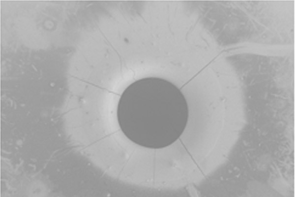 配合各項科學(xué)研究是我們光榮的使命