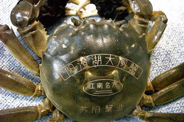 大閘蟹激光打標(biāo)